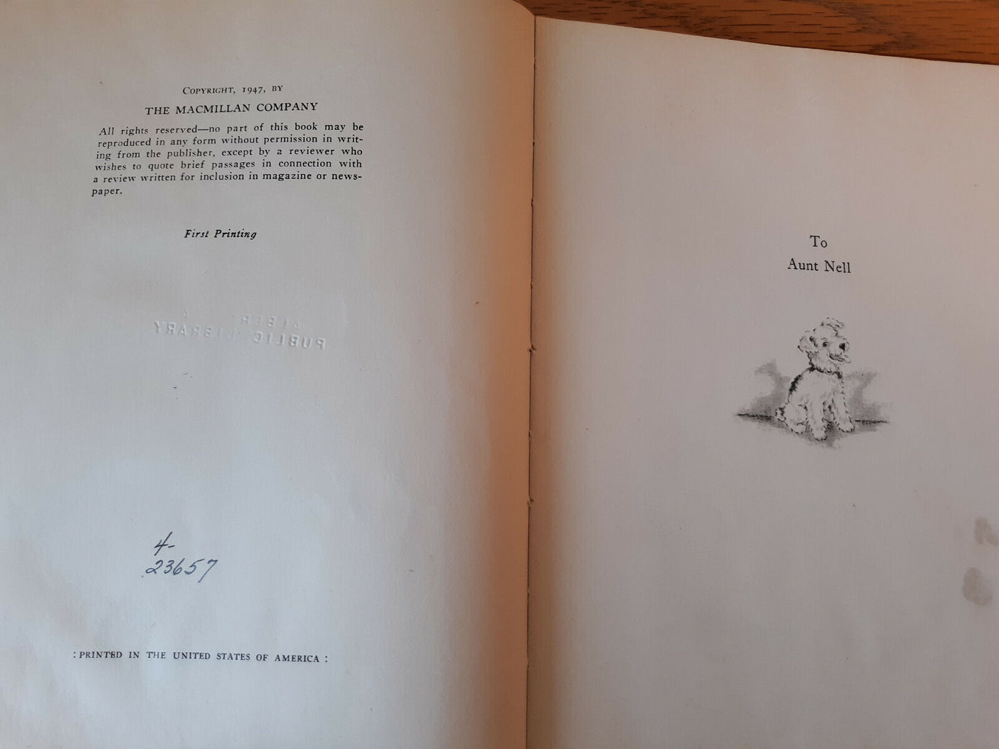 Image #8