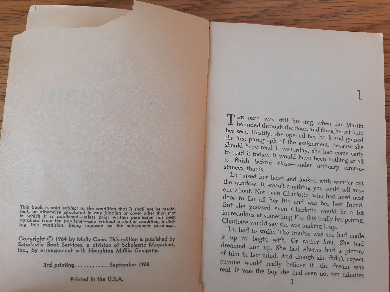 Image #8