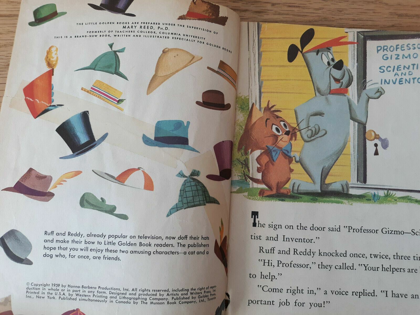 Image #7