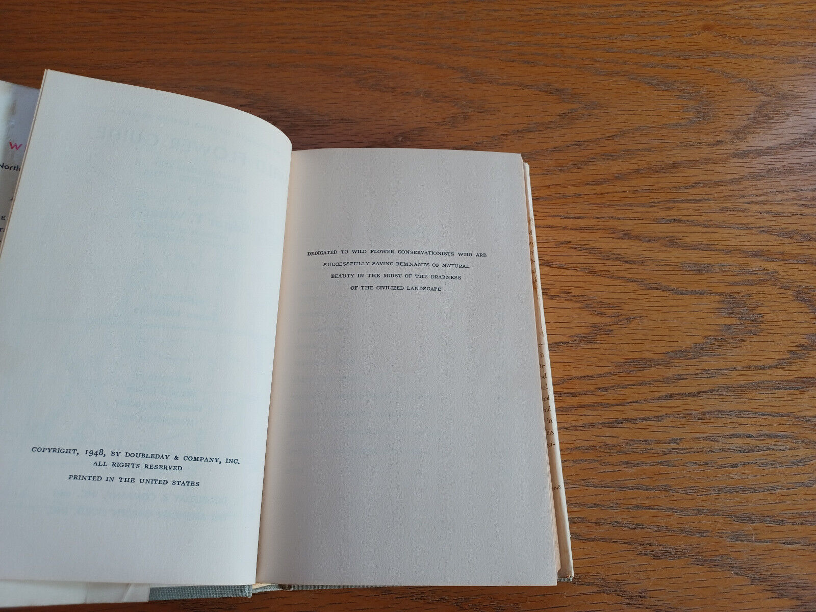 Image #9