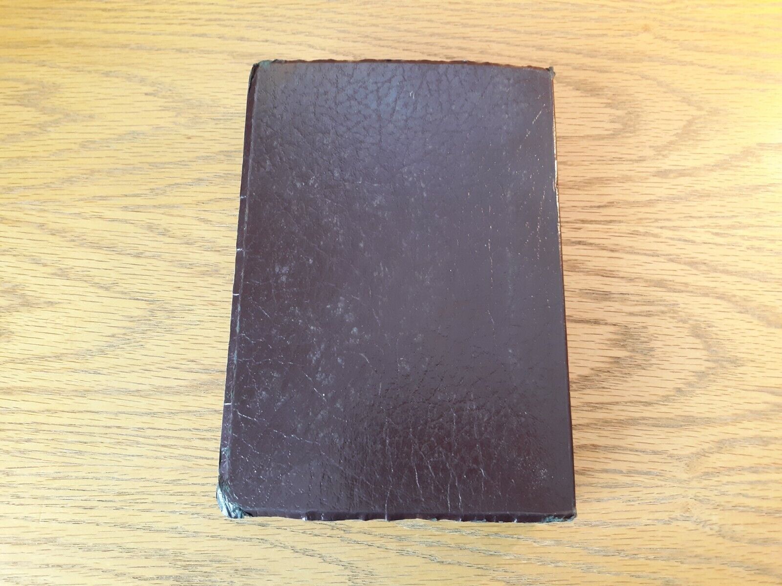 Image #6