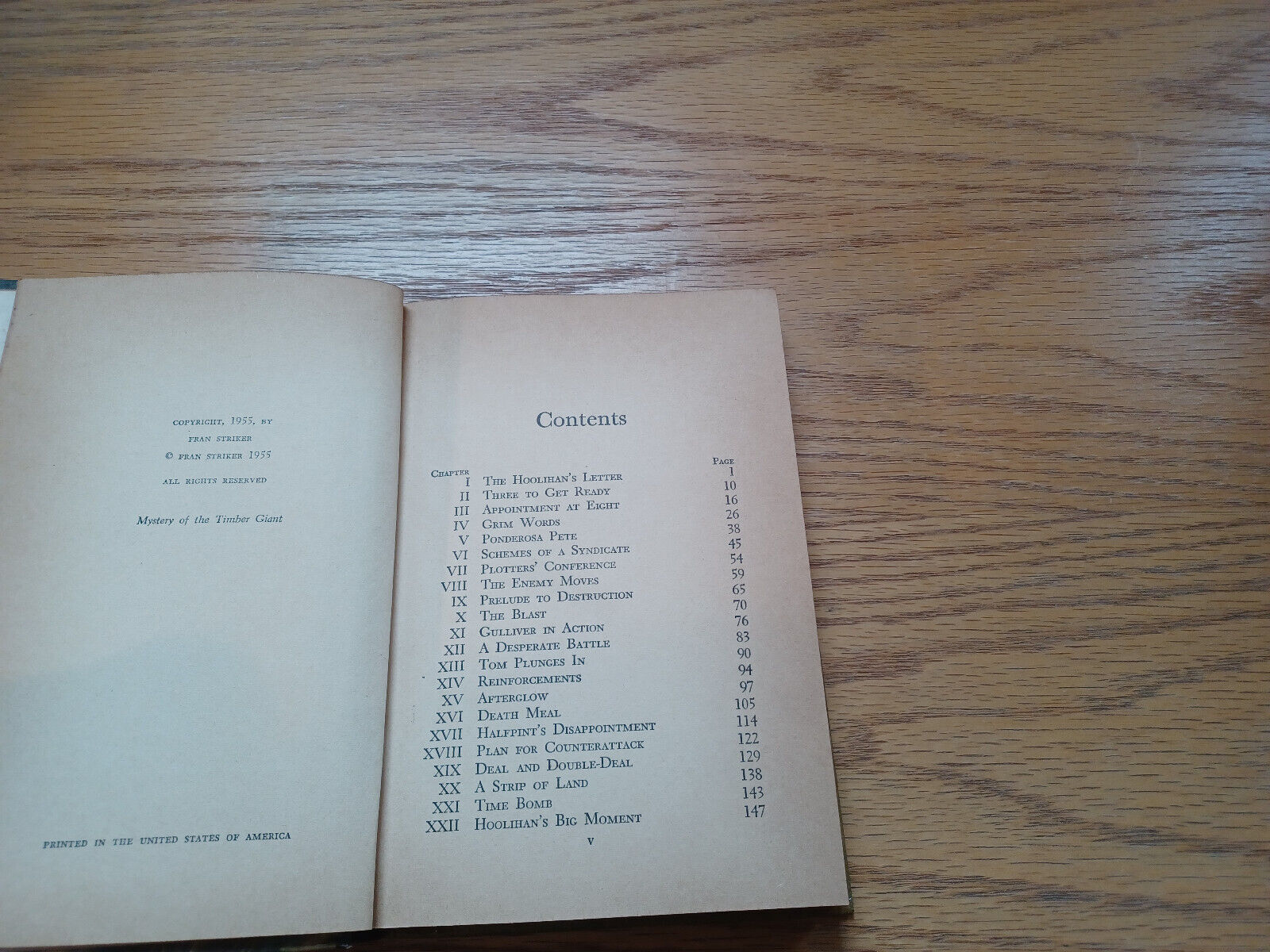 Image #8