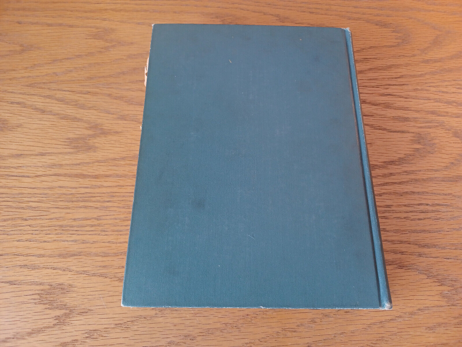 Image #6