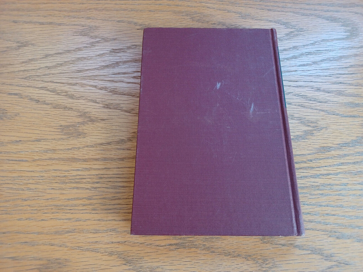 Image #6