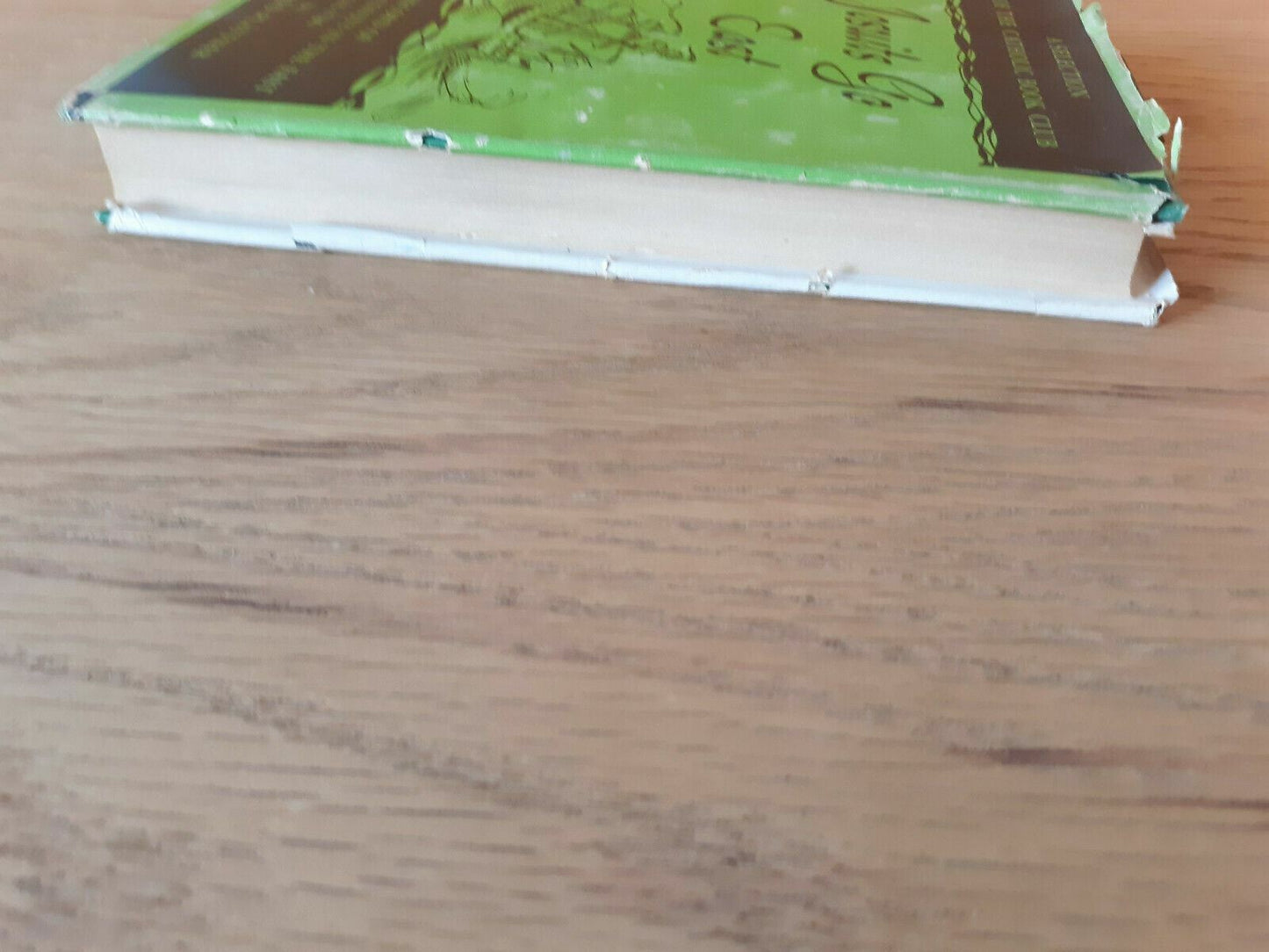 Image #3