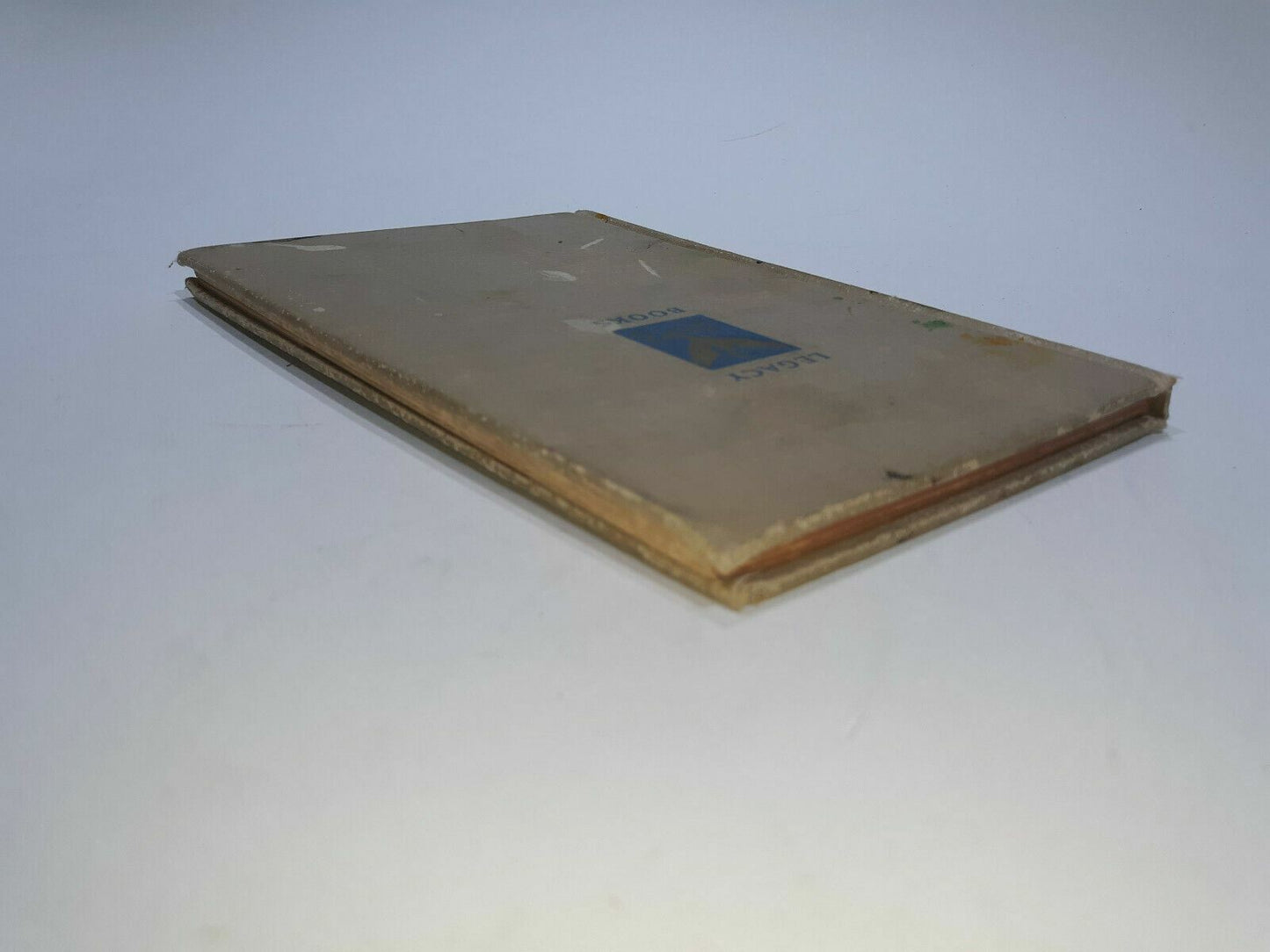 Image #3