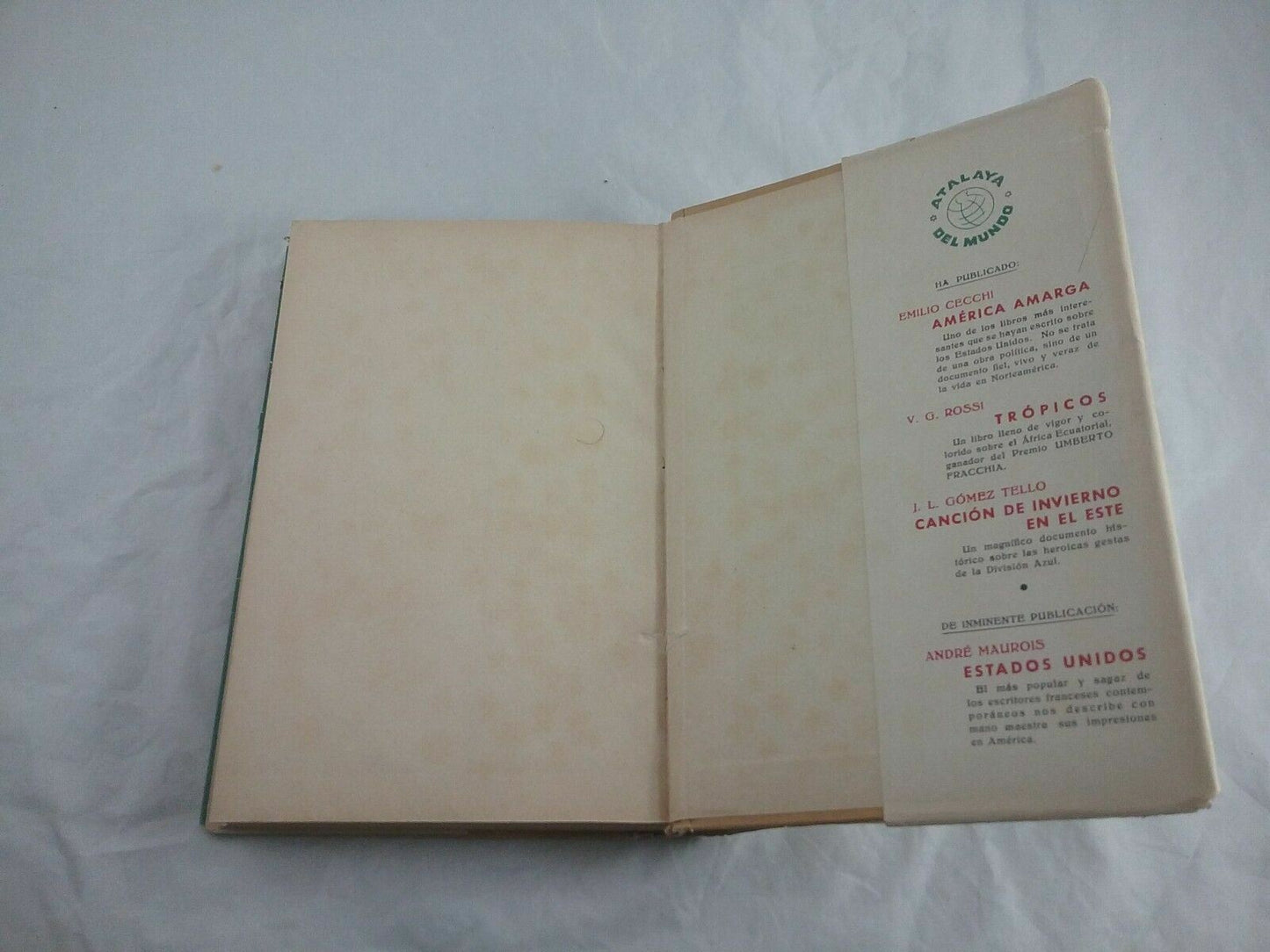 Image #6