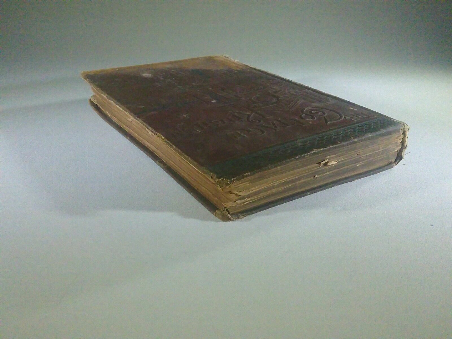Image #4