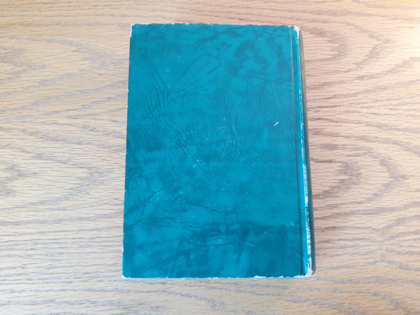 Image #6