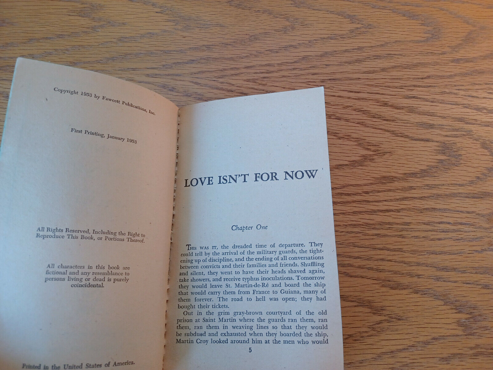 Image #8