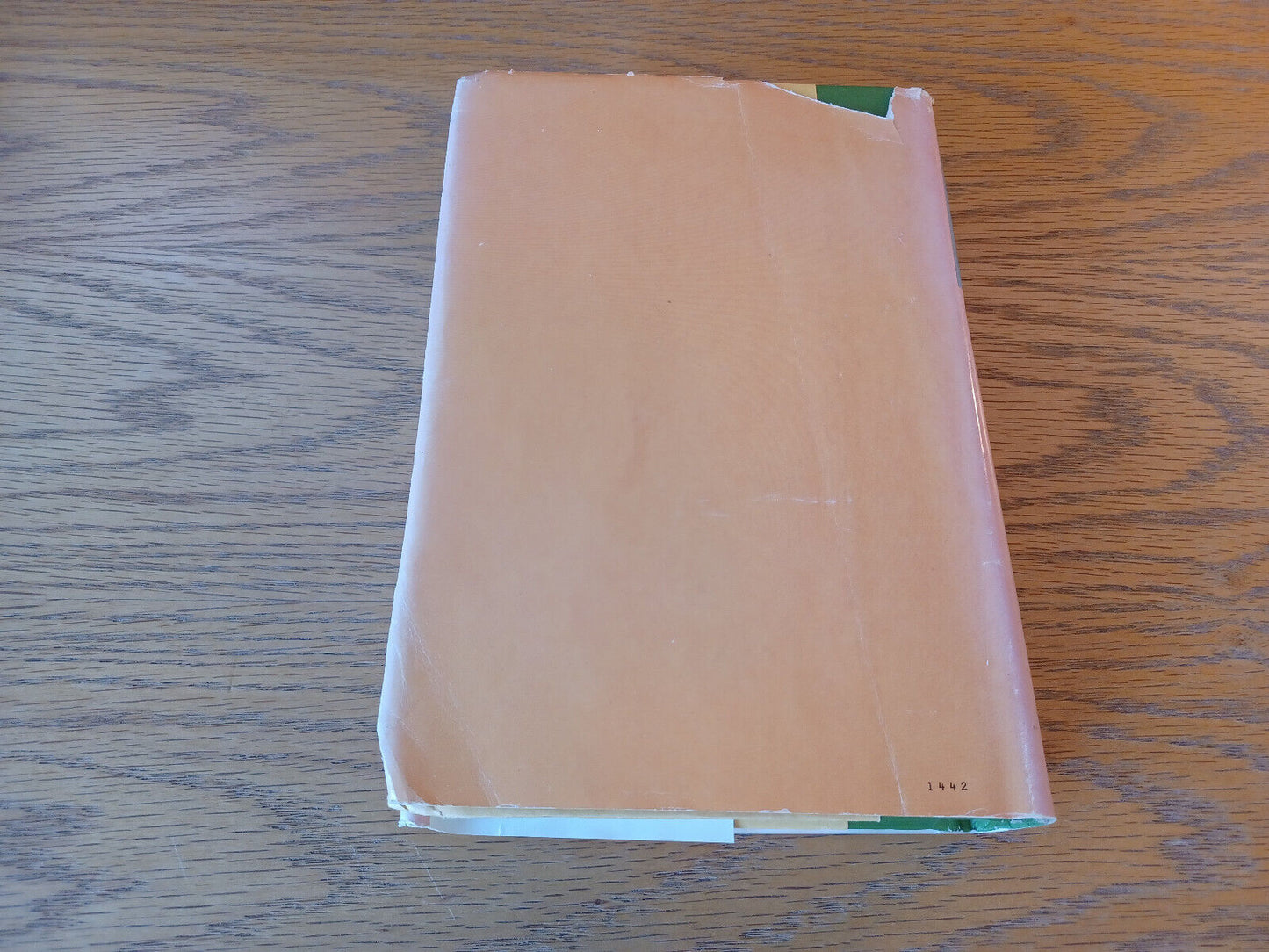 Image #6