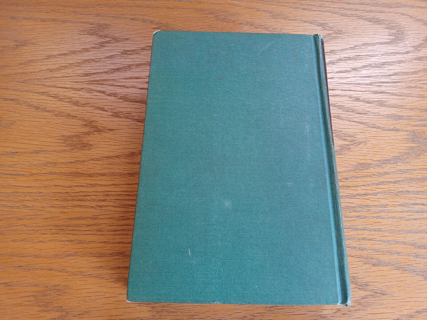 Image #6