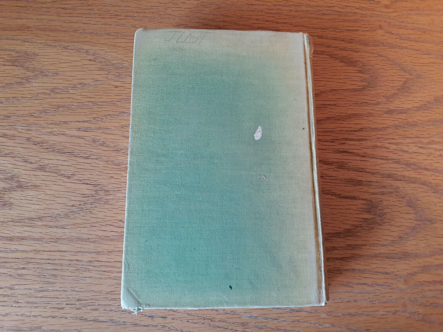 Image #6