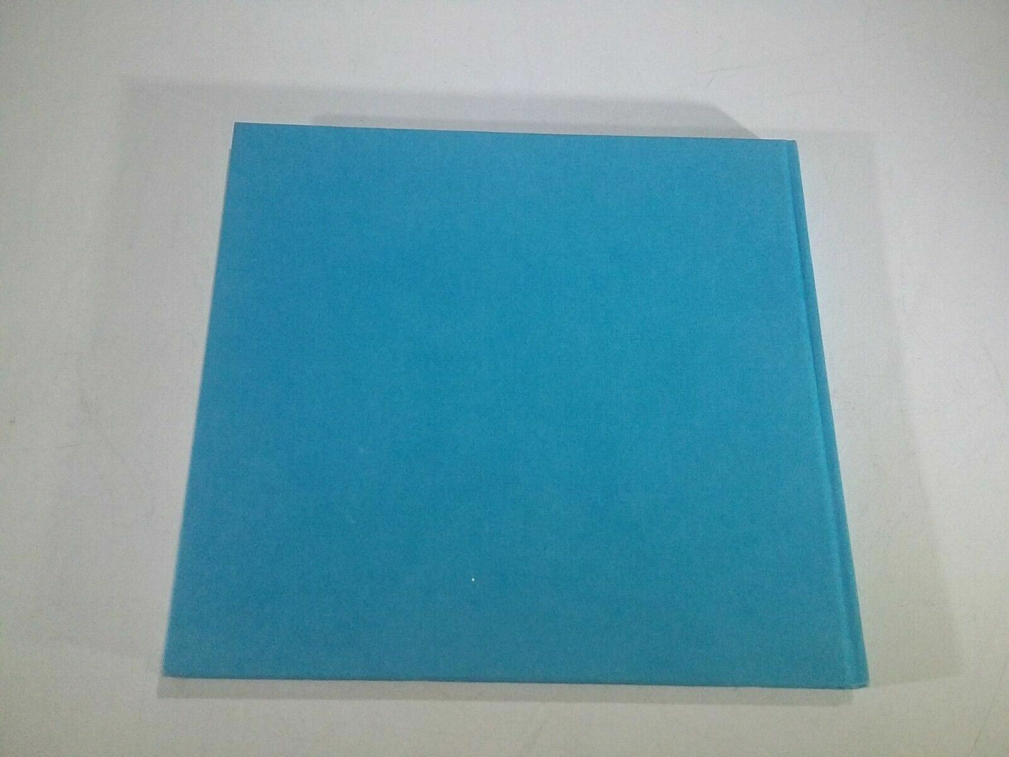 Image #5