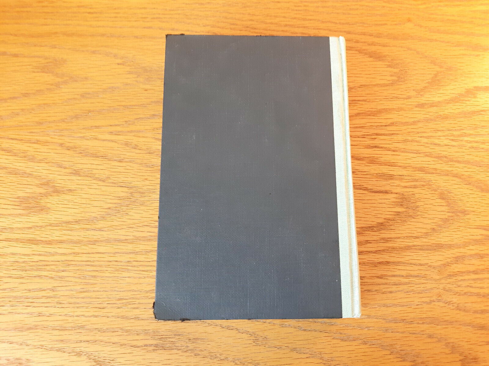 Image #6