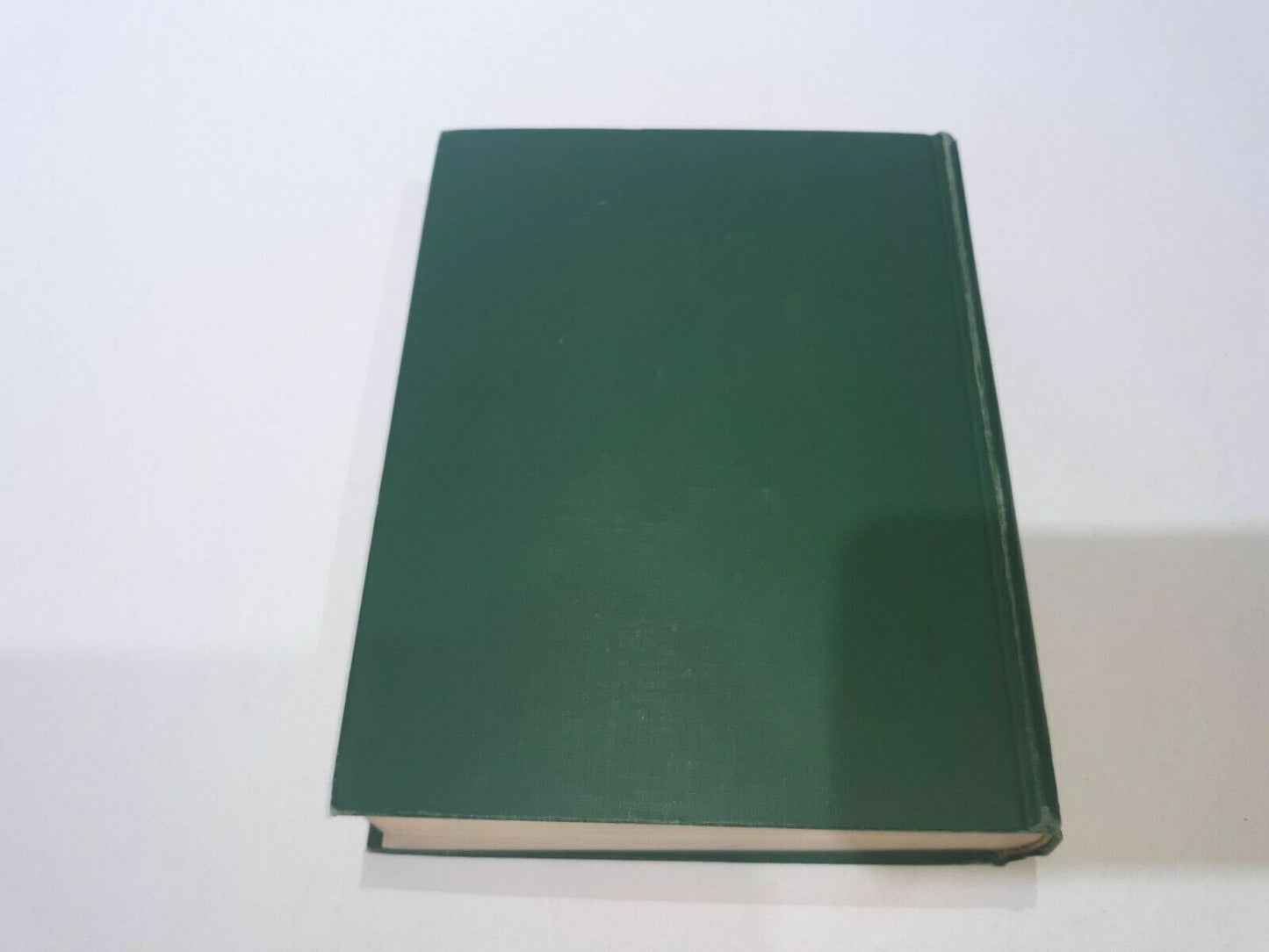 Image #5