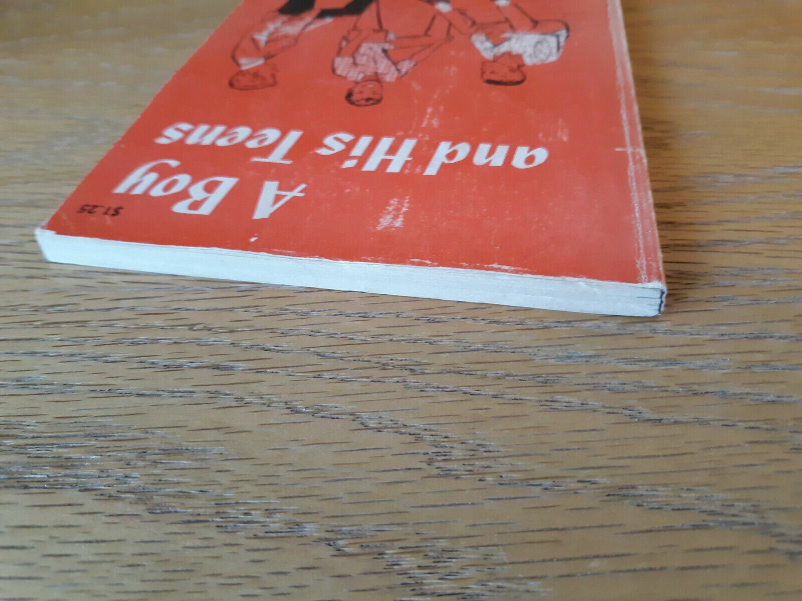 Image #4