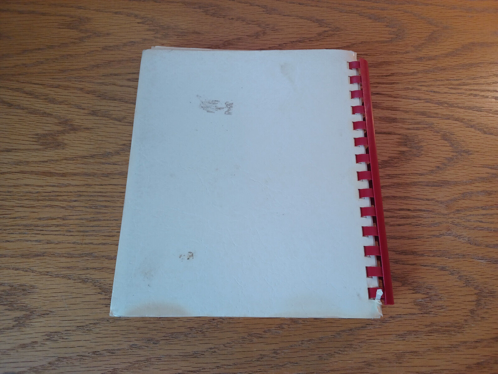 Image #6