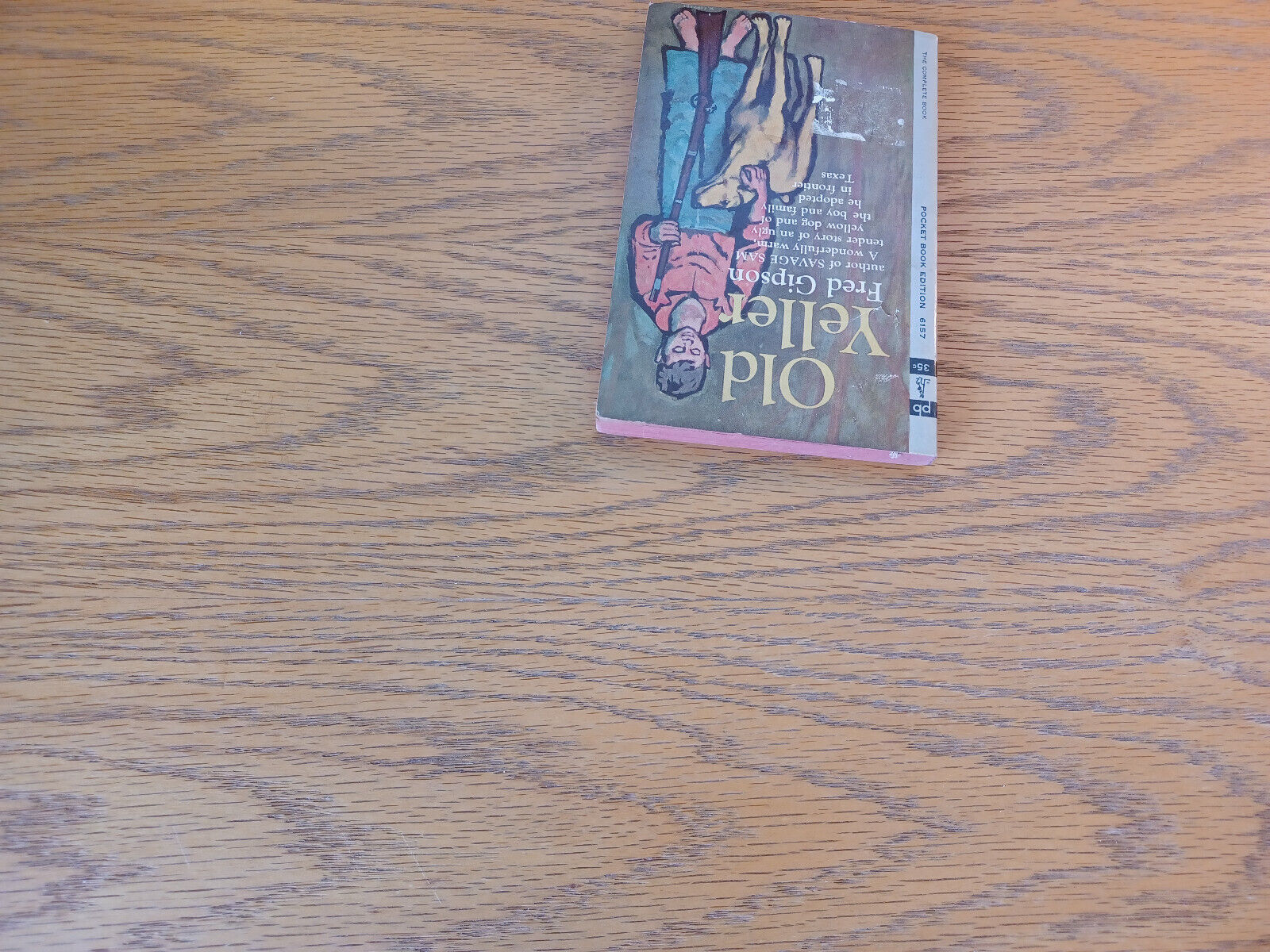 Image #4