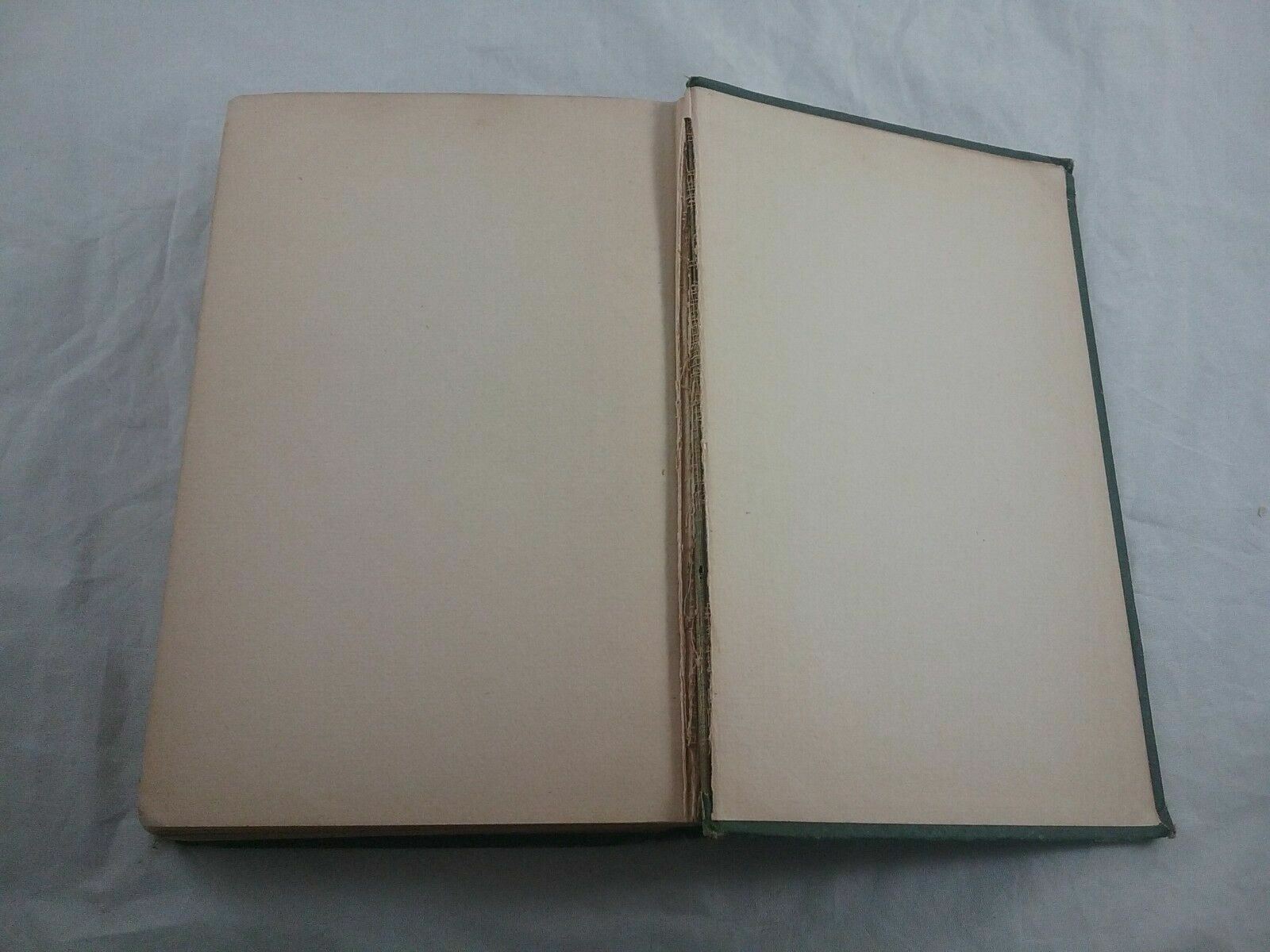 Image #7