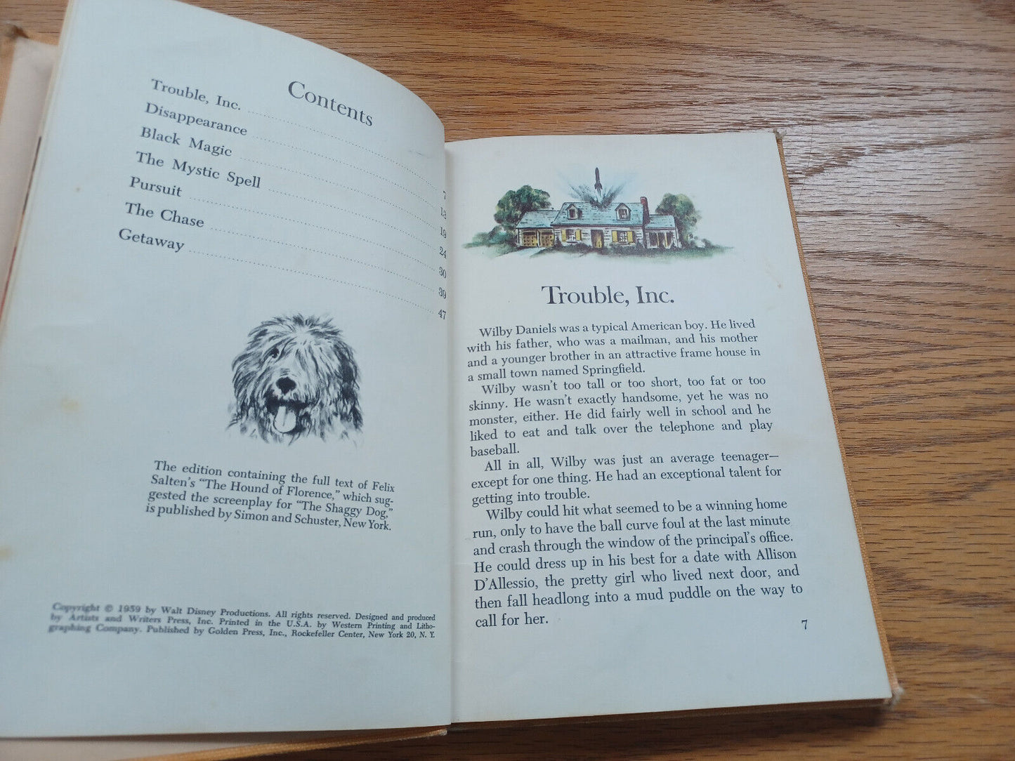 Image #8