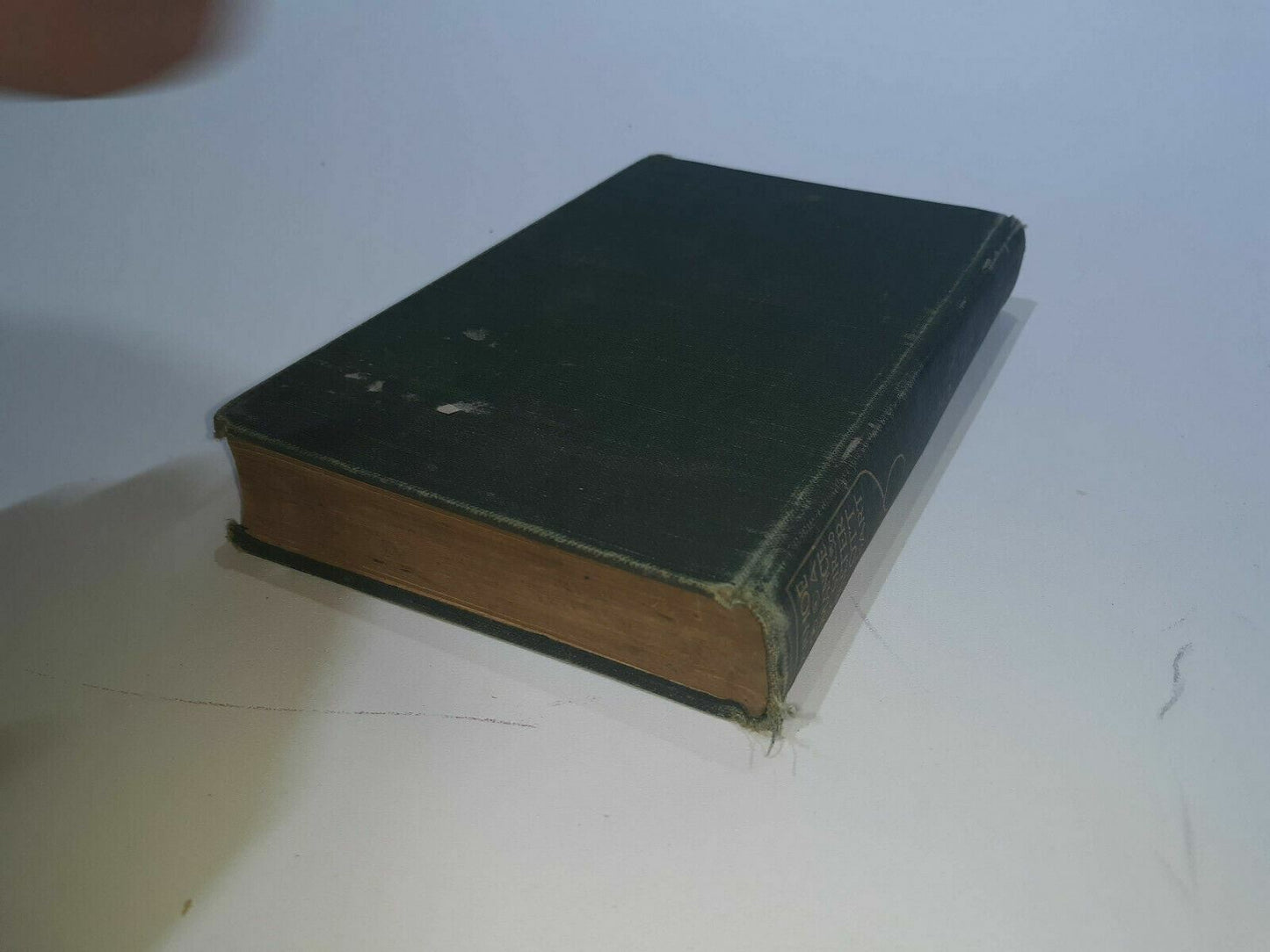 Image #6