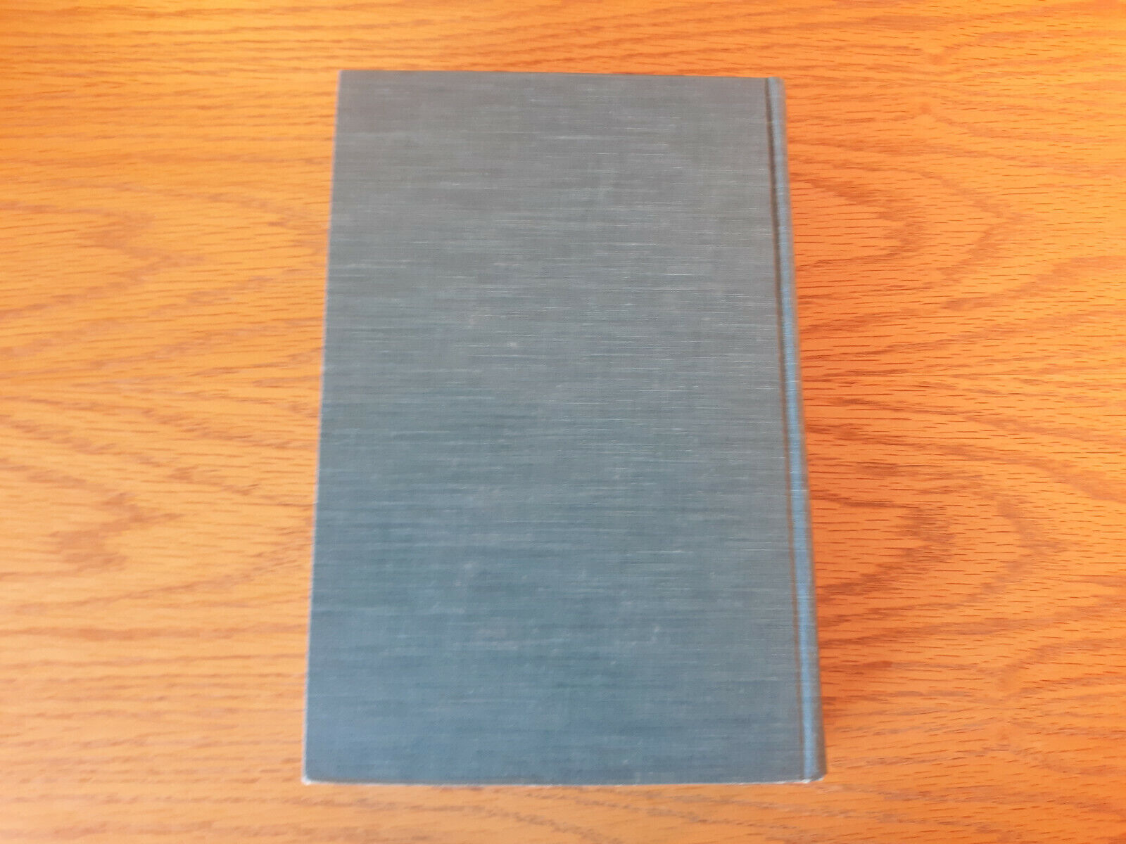 Image #6
