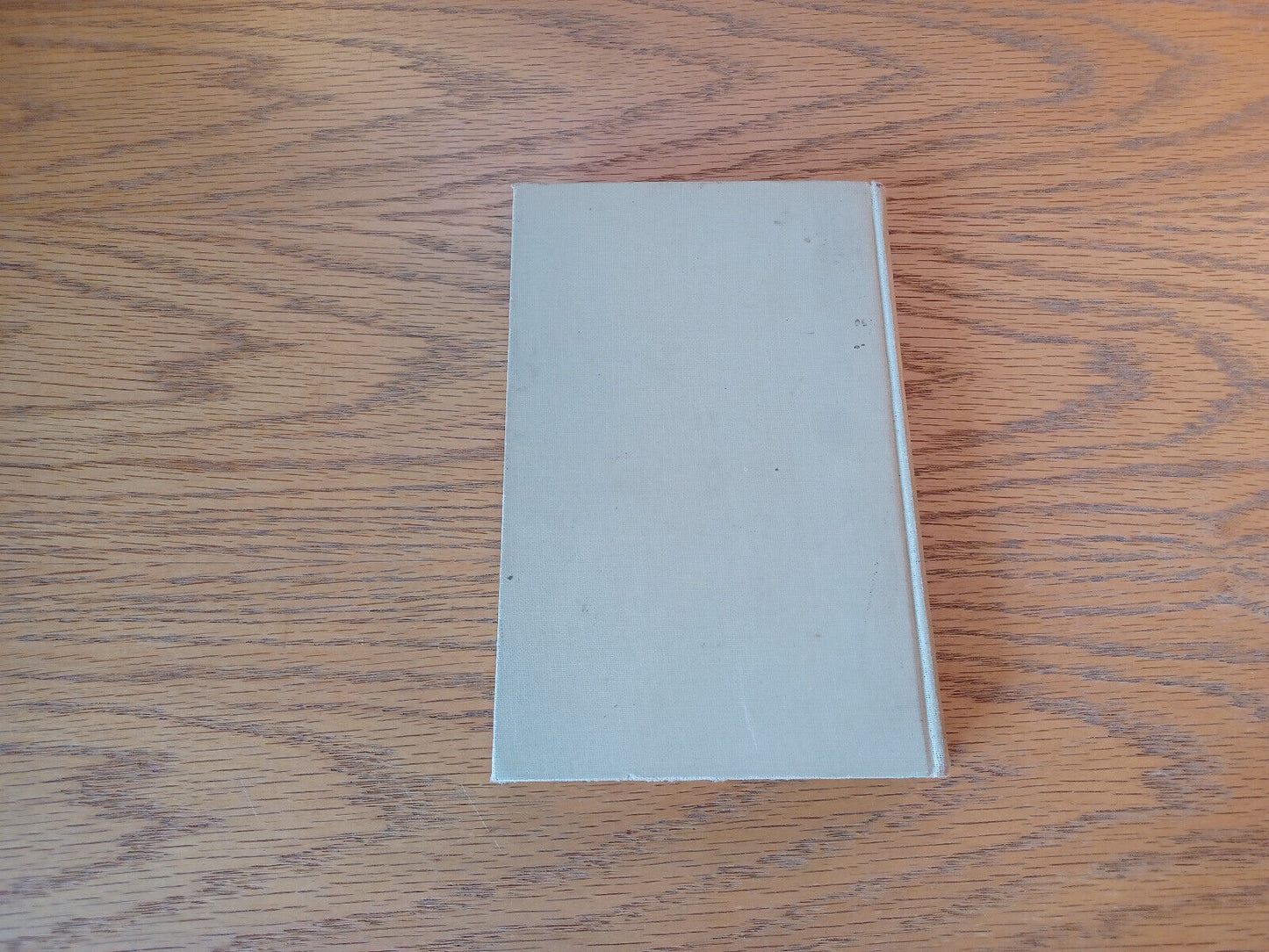 Image #6