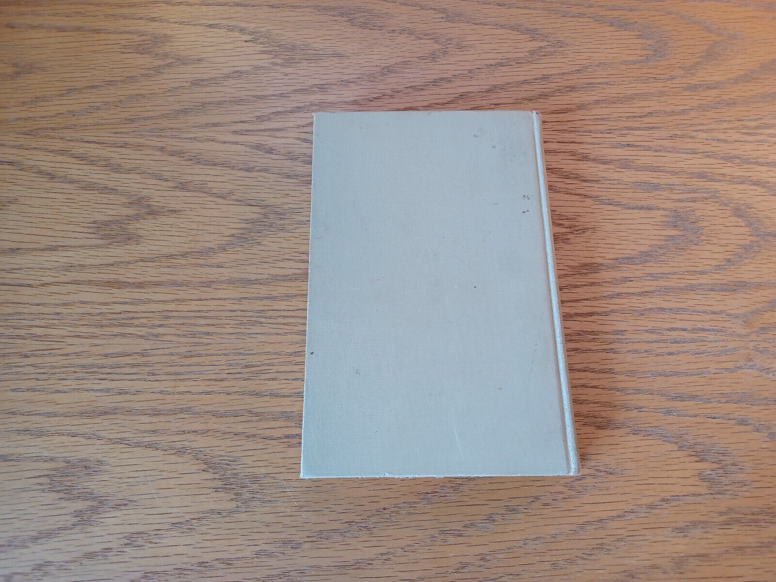Image #6