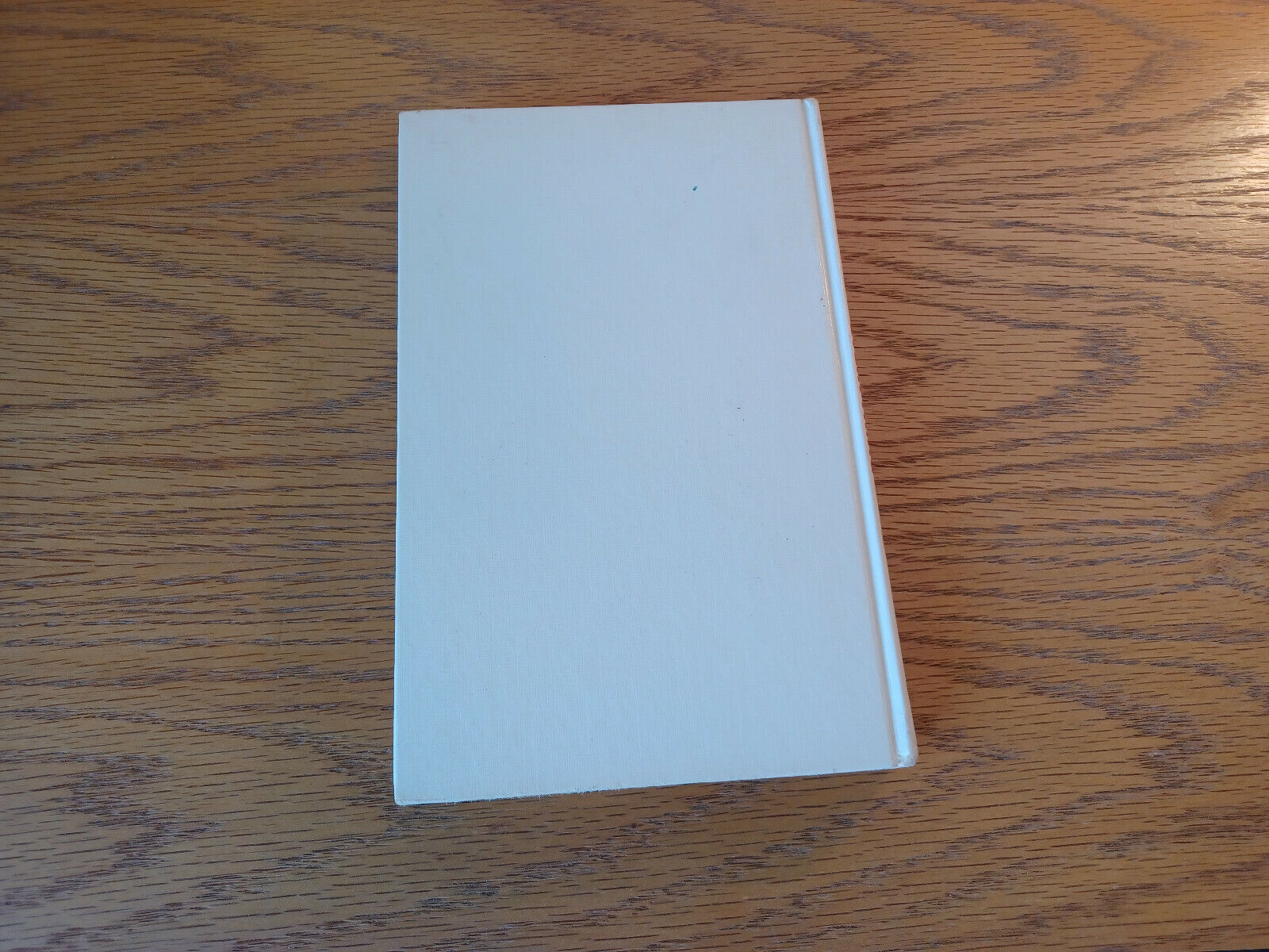 Image #6