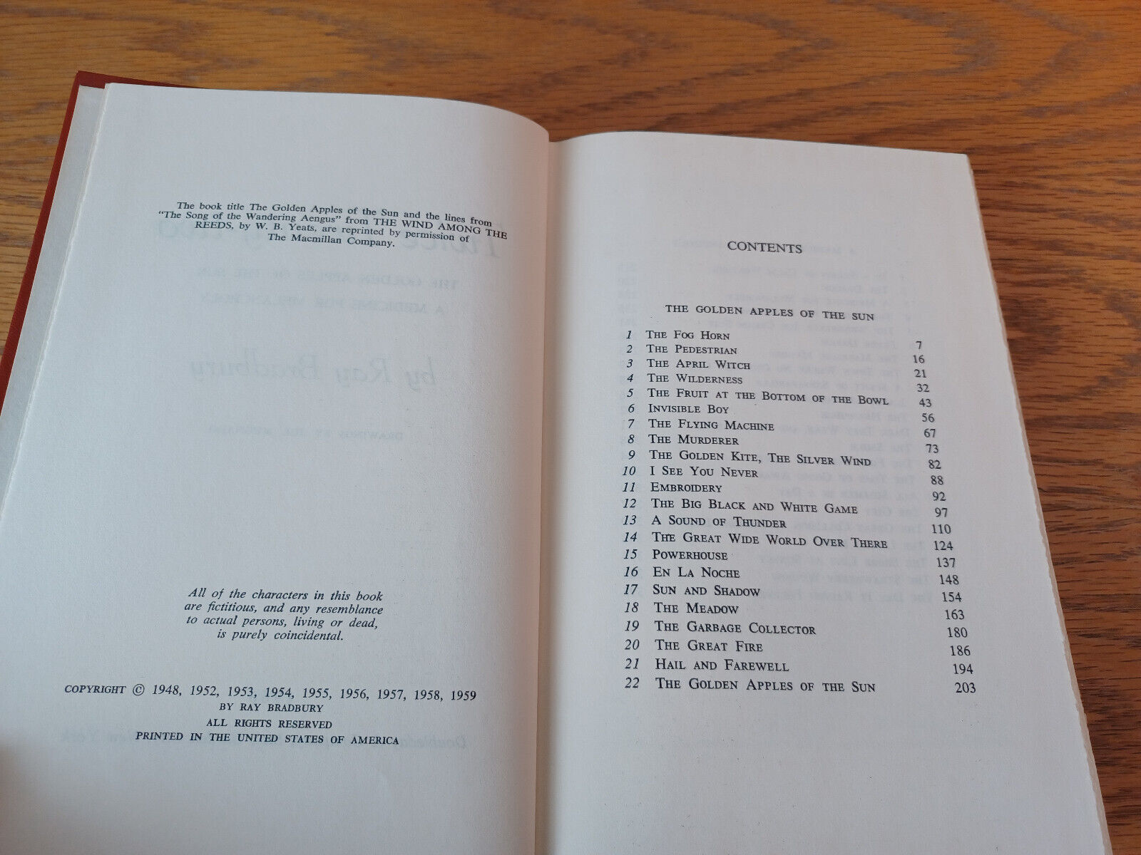 Image #8