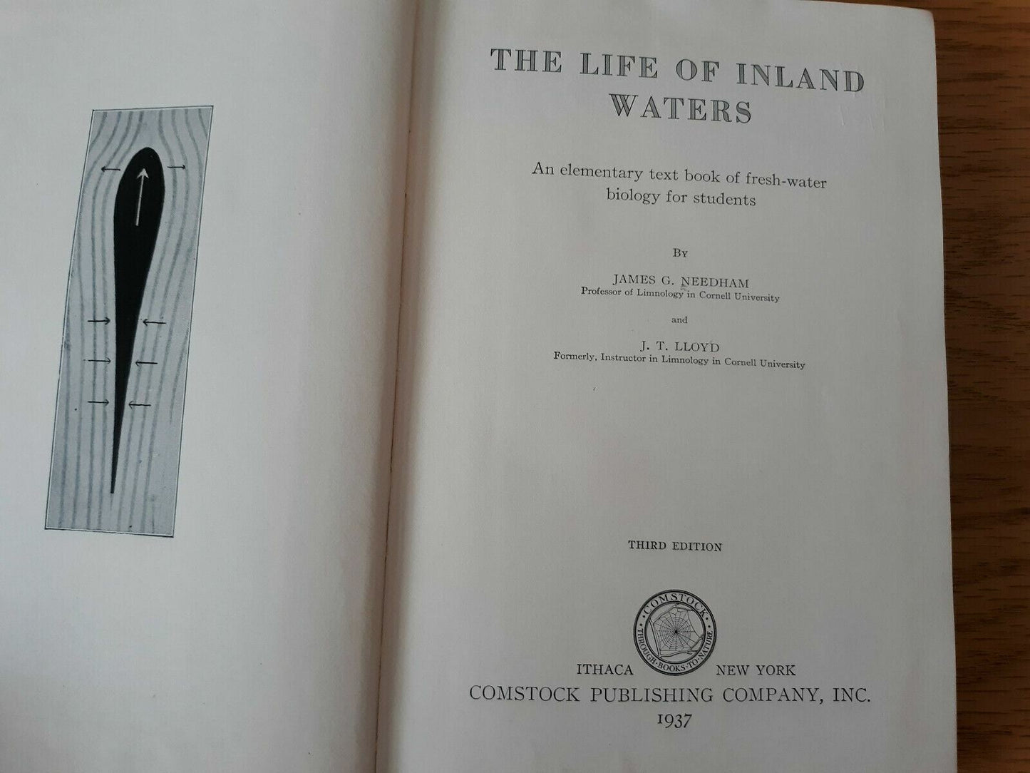 Image #8