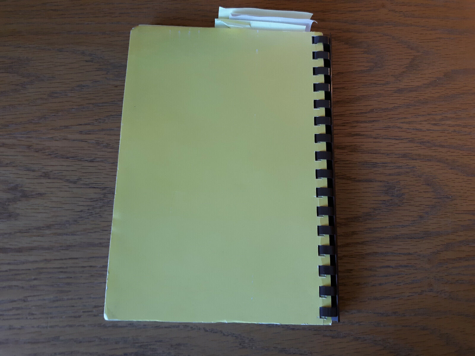 Image #6
