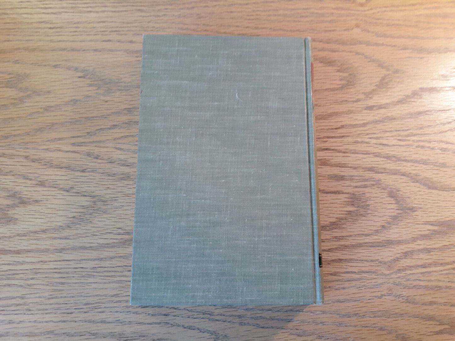 Image #6