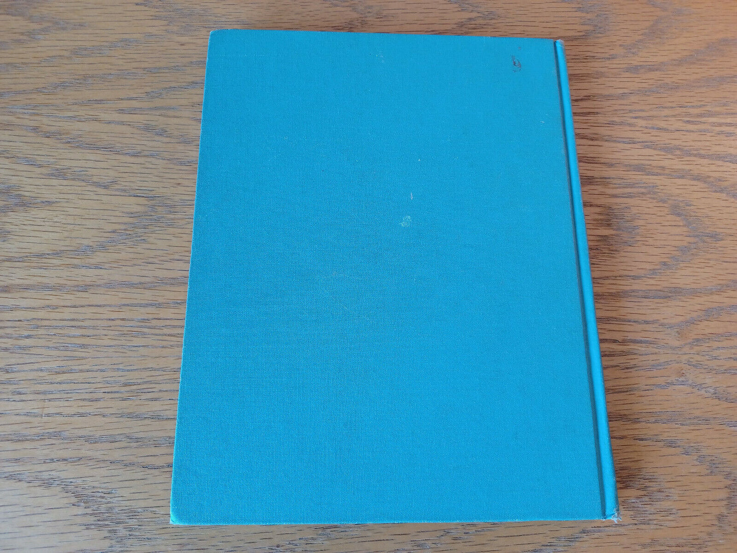 Image #6