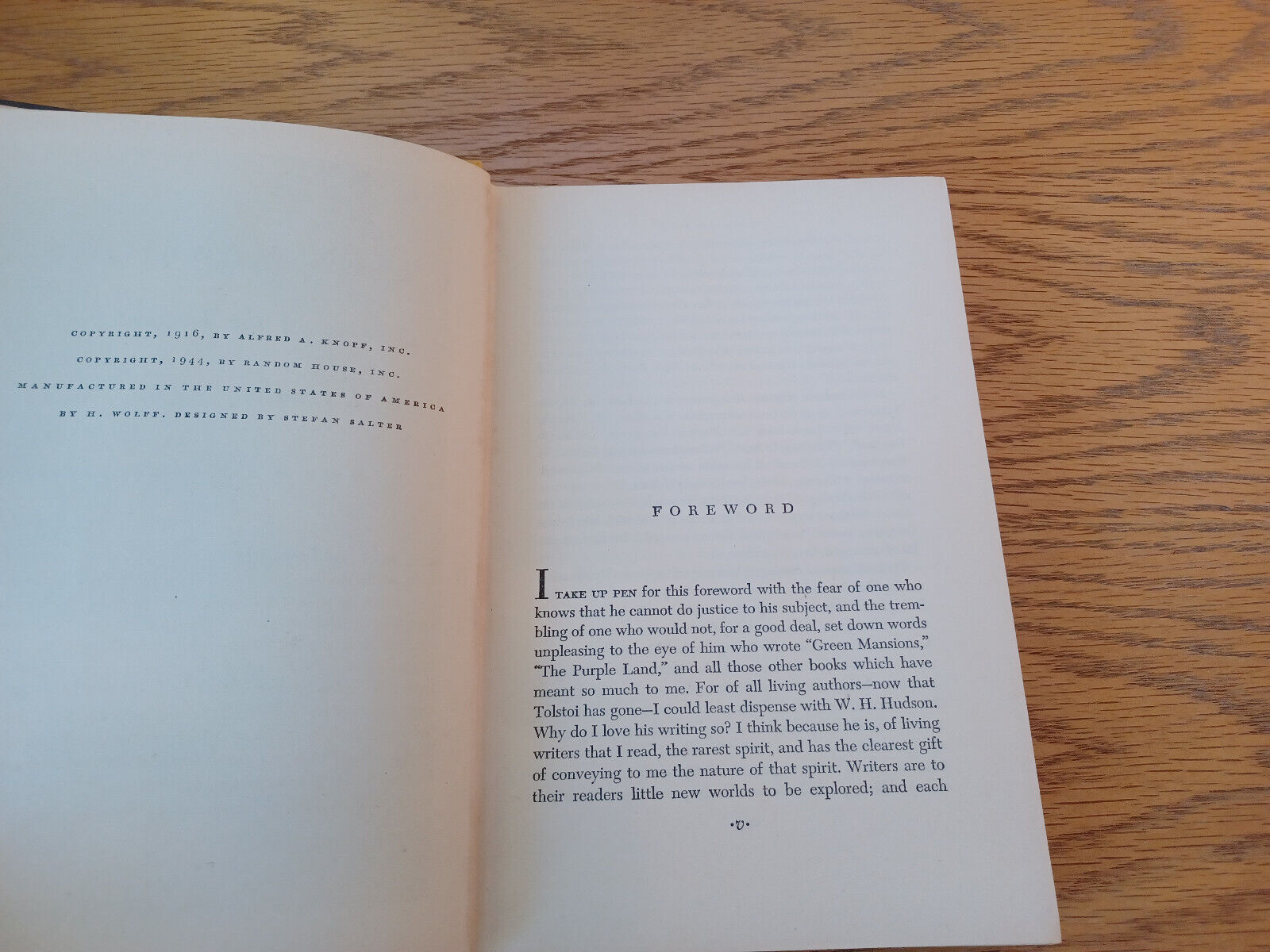Image #8