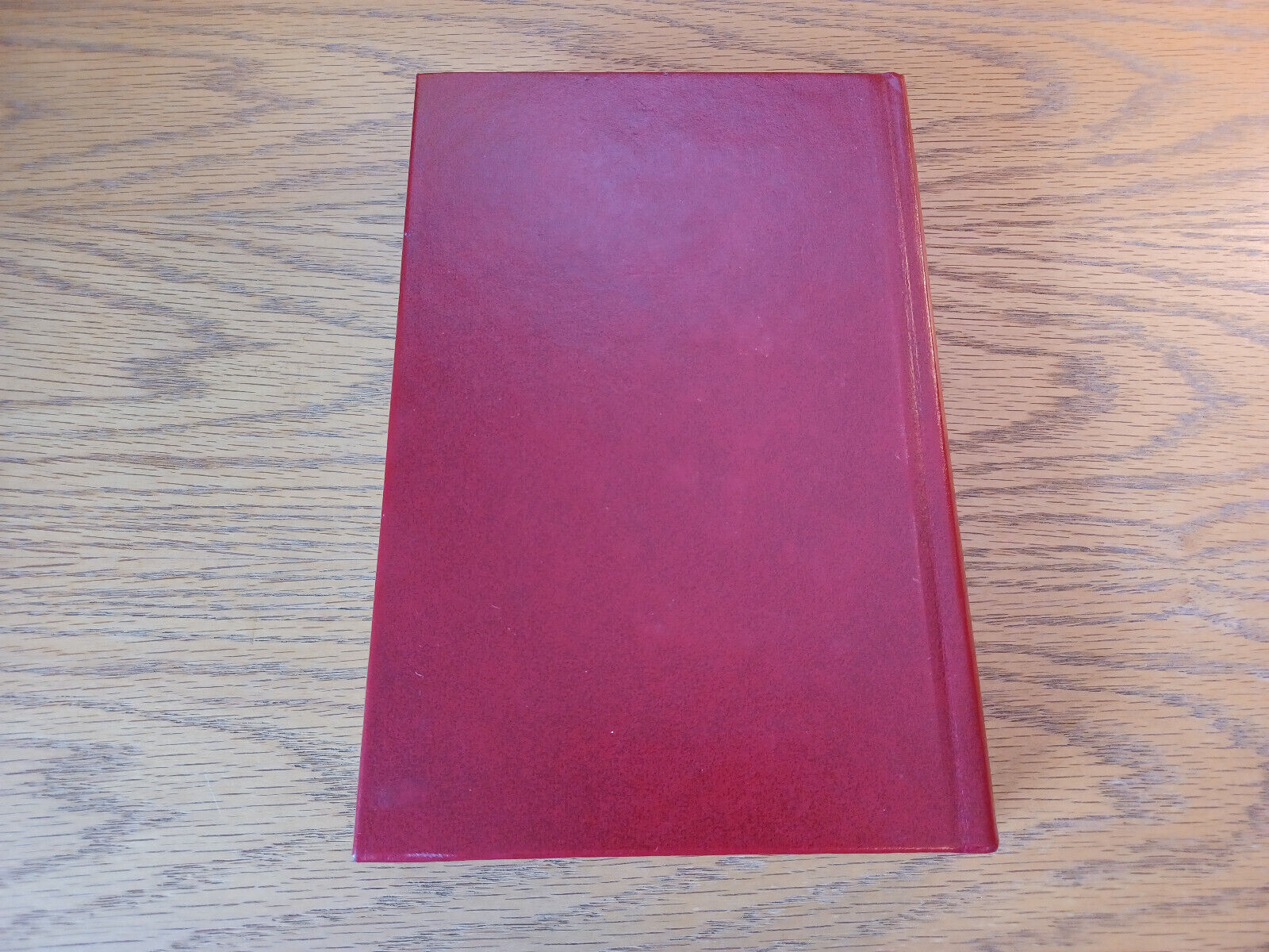 Image #6