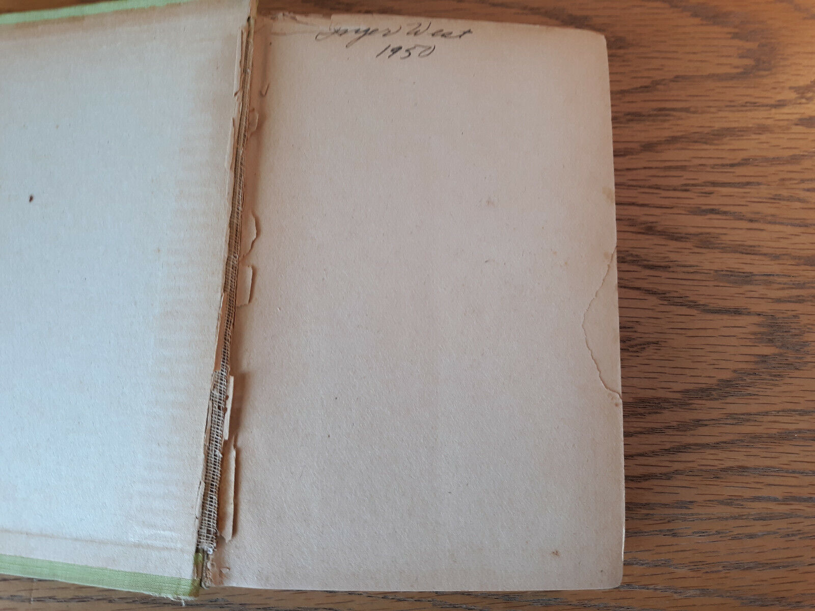 Image #7