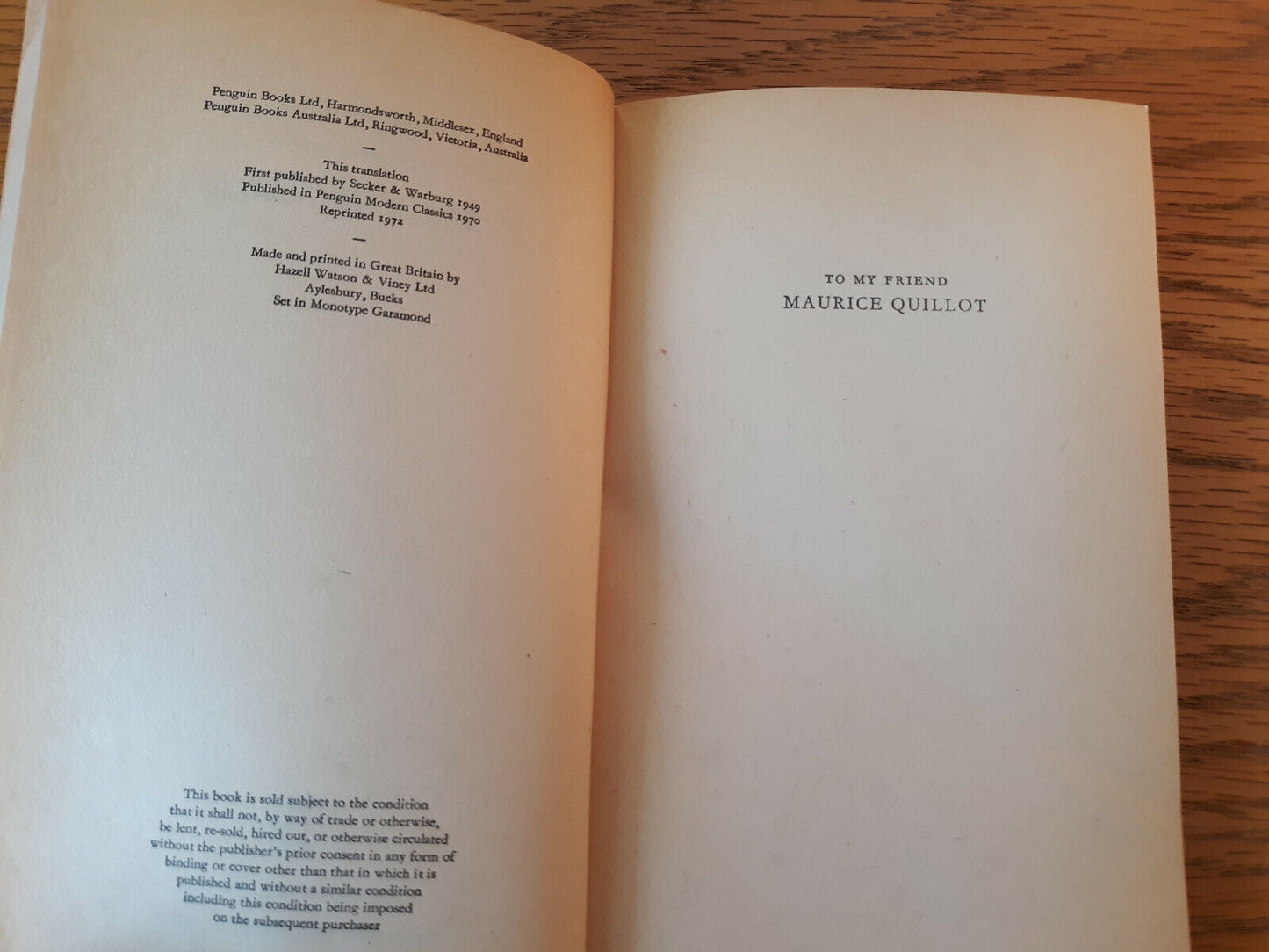 Image #8