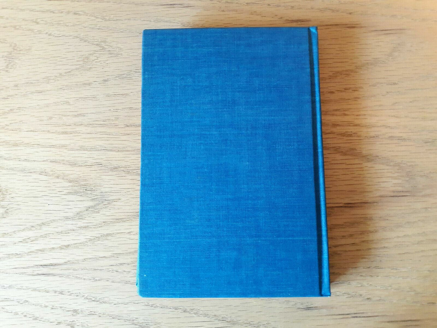 Image #6