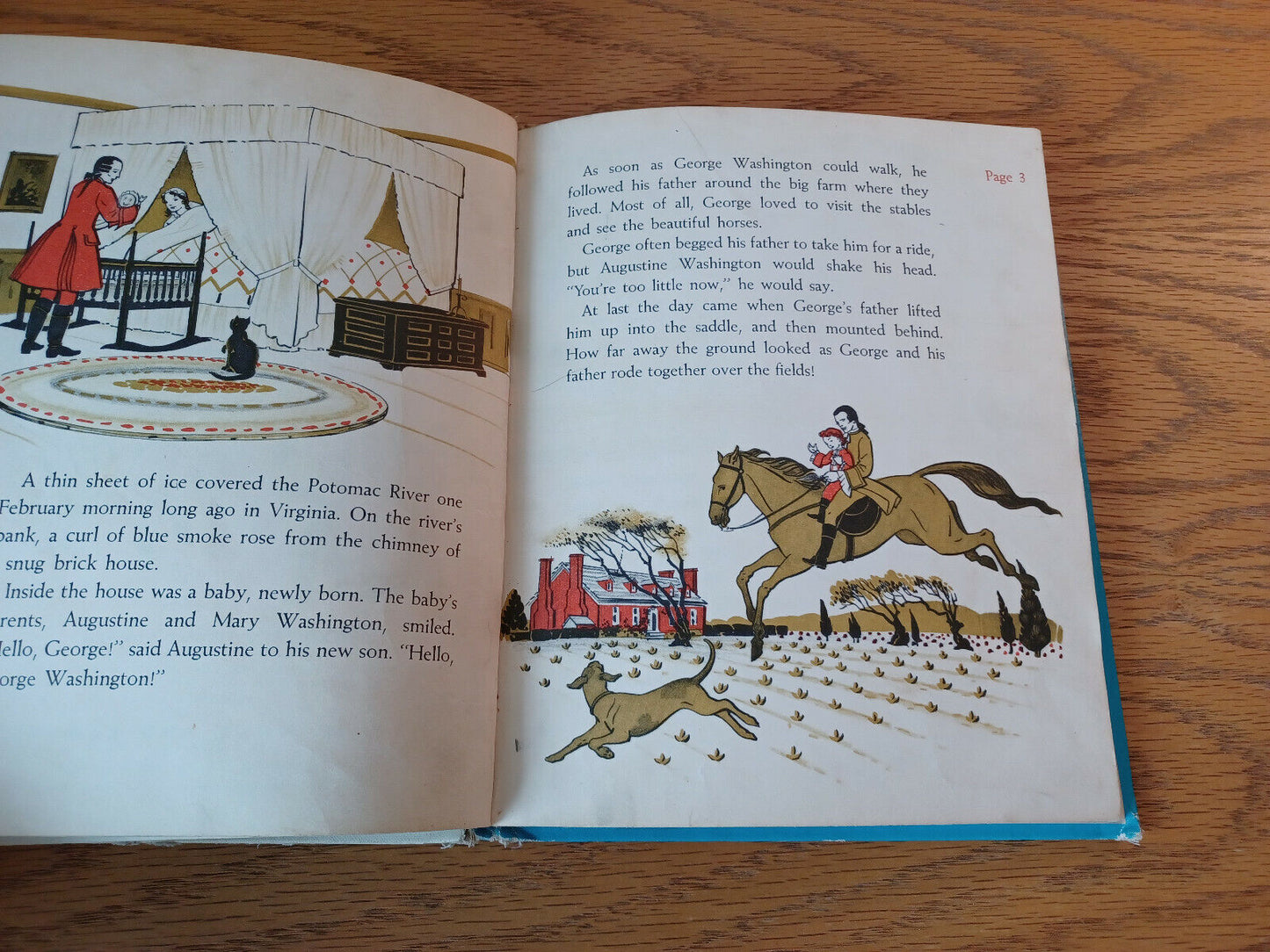 Image #8