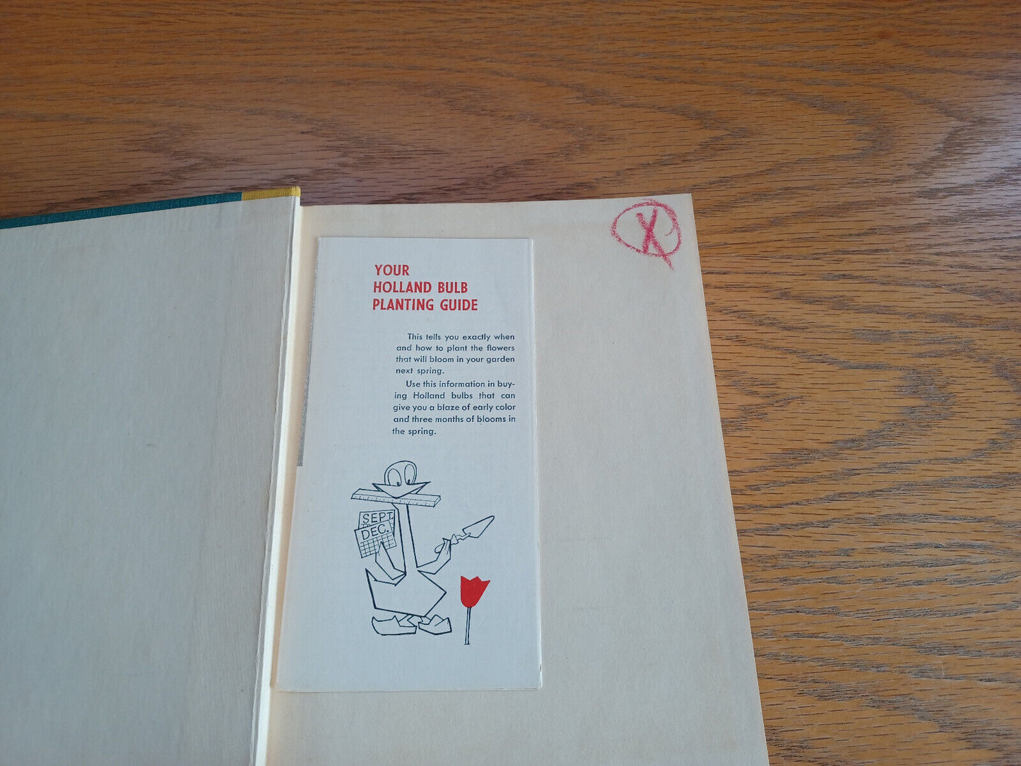 Image #7