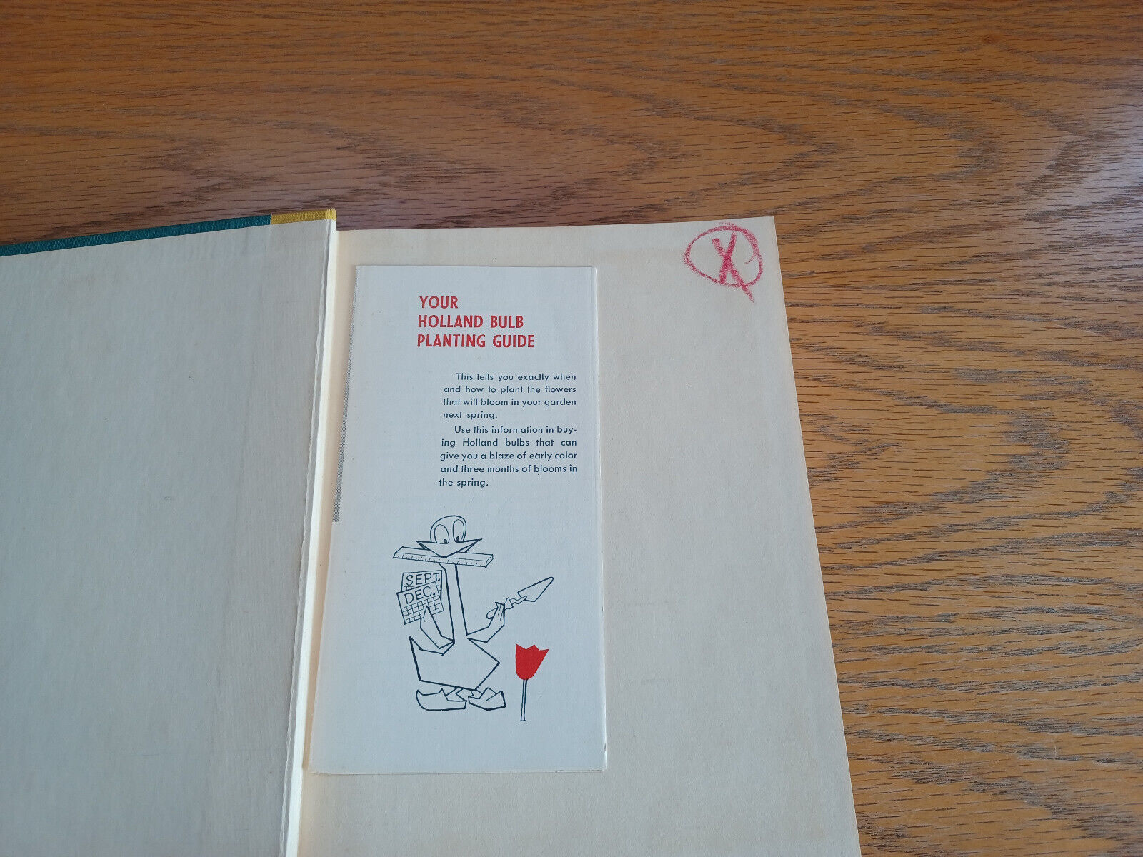 Image #7