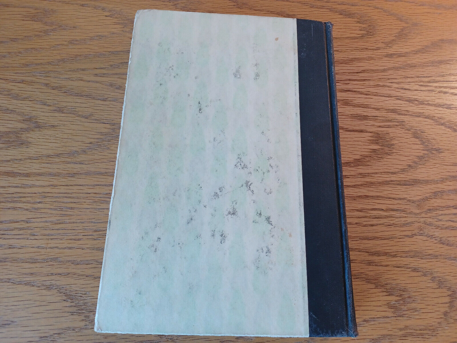 Image #6