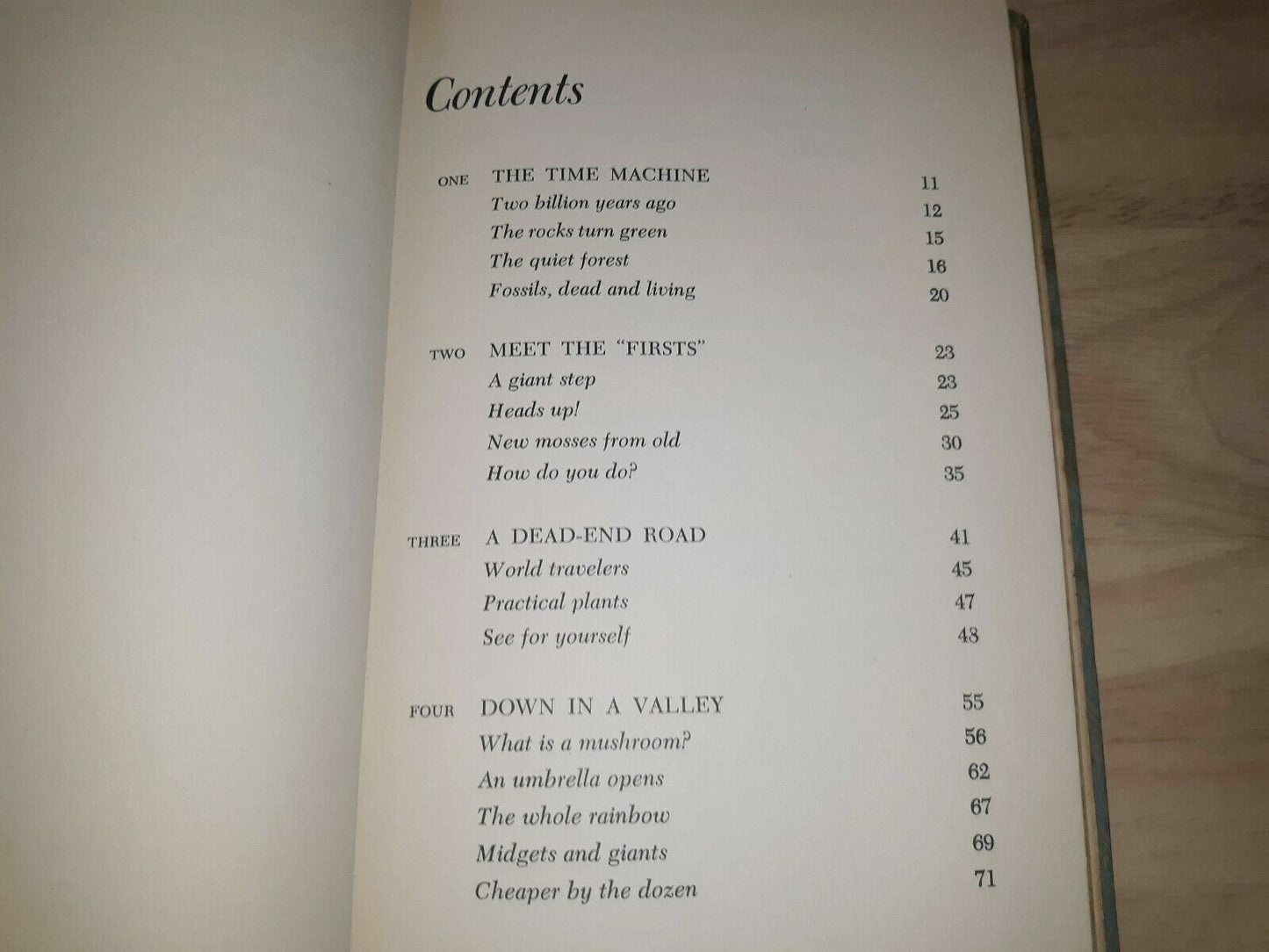 Image #10