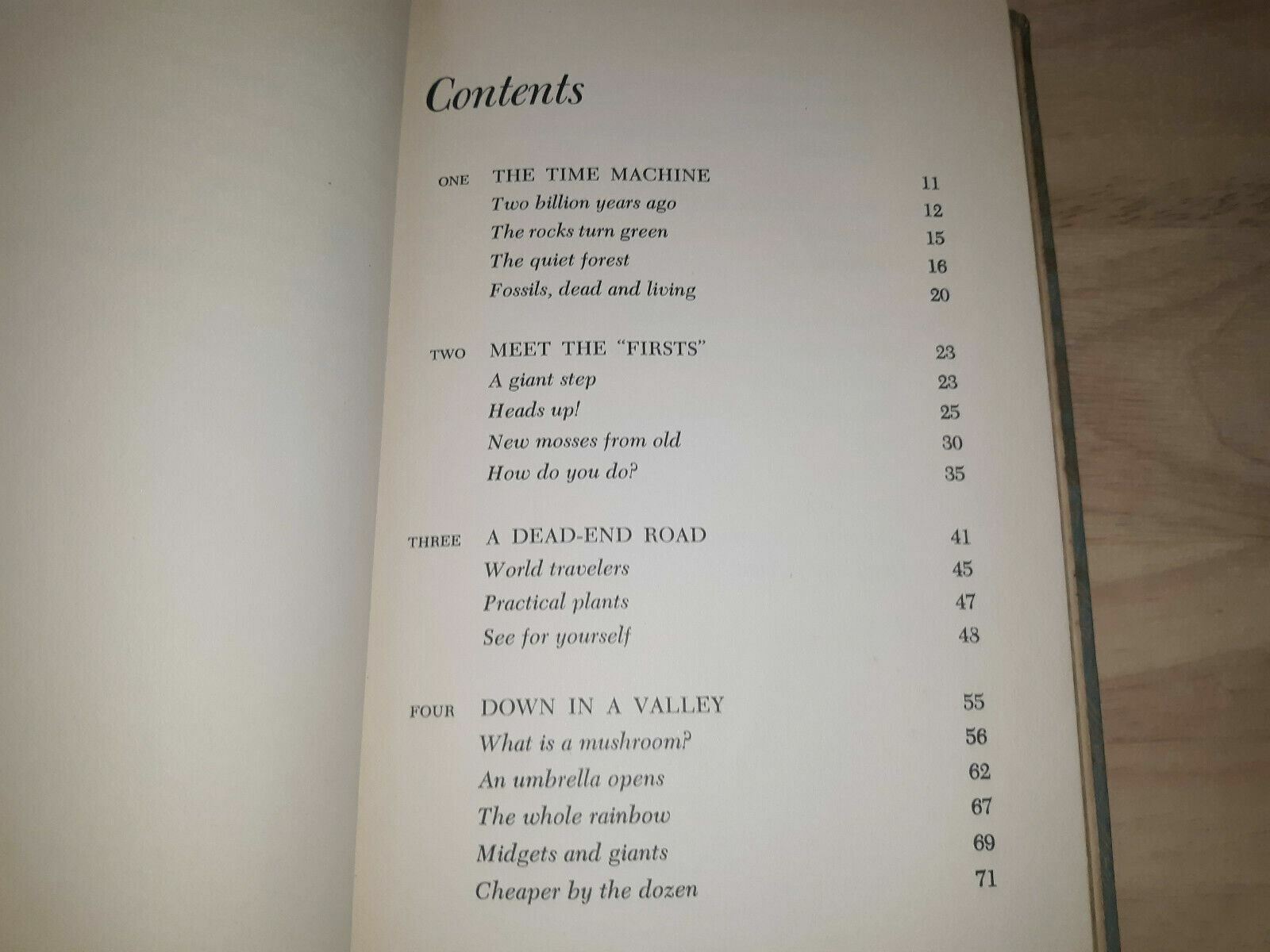 Image #10