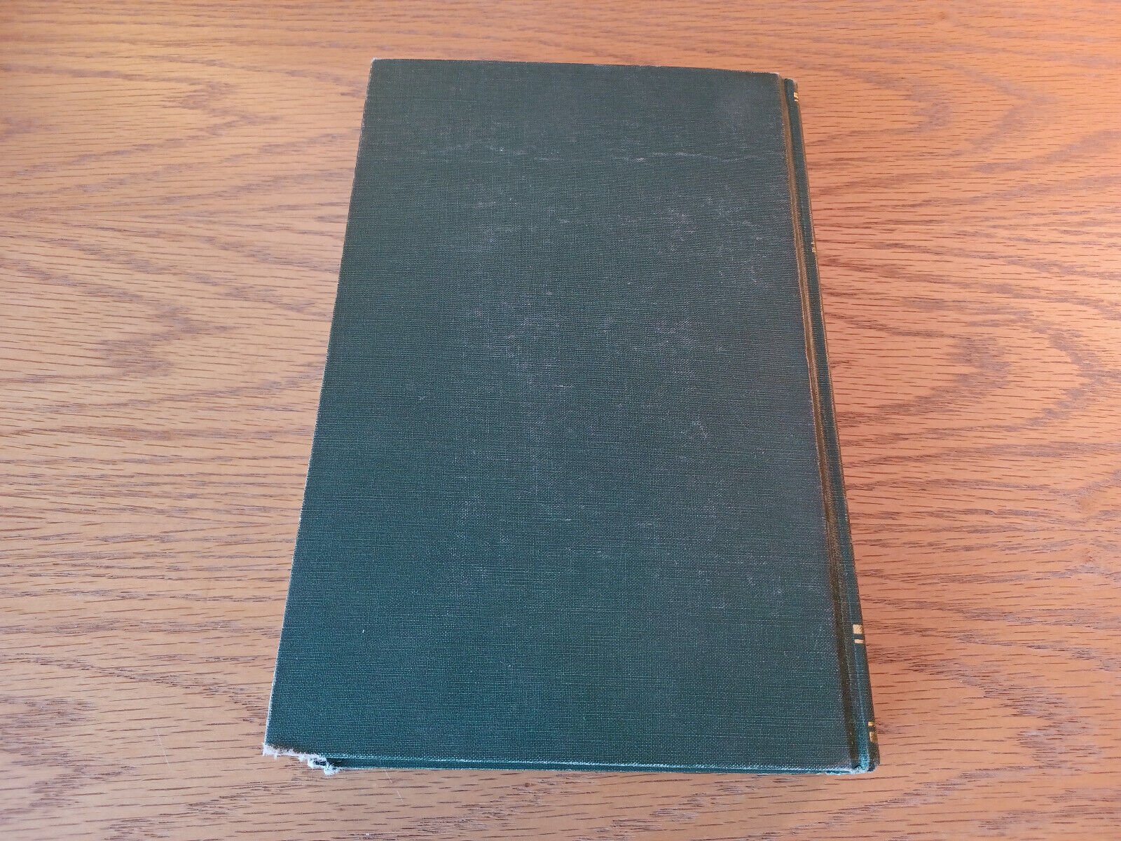 Image #6