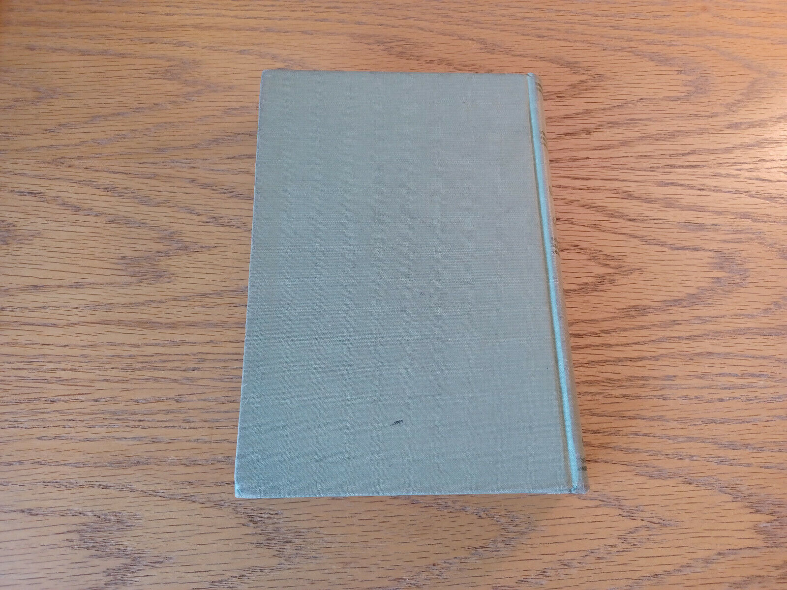 Image #6