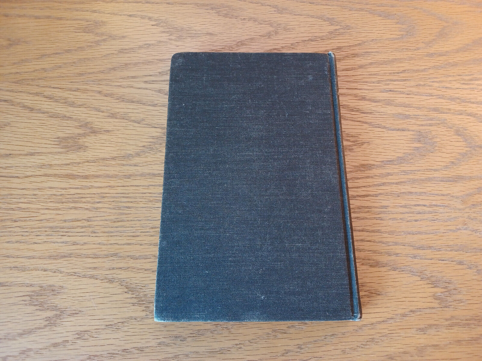 Image #6