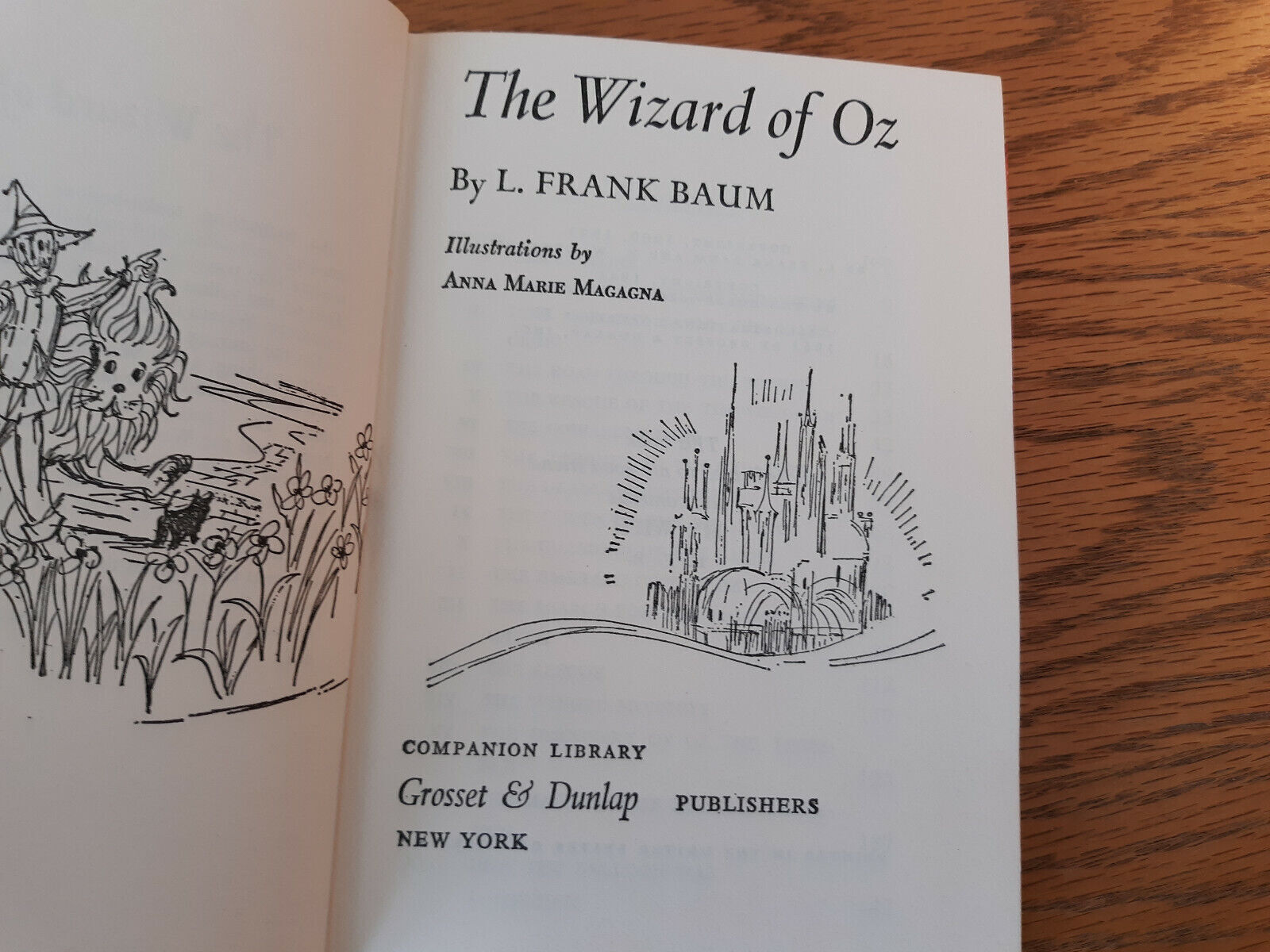 Image #7